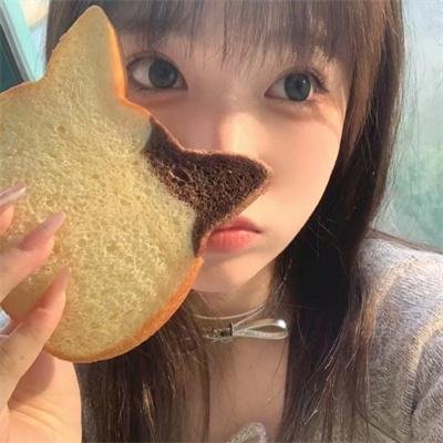 功夫小兔侠